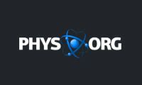 Phys.org .